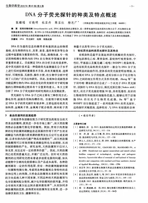 DNA分子荧光探针的种类及特点概述