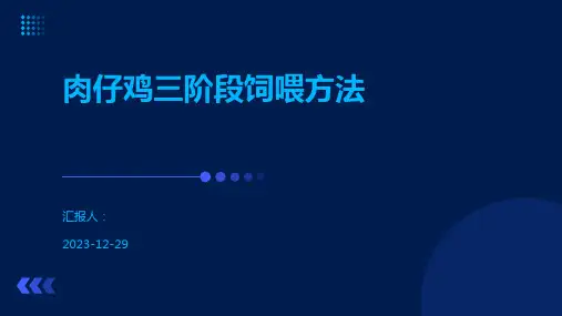 肉仔鸡三阶段饲喂方法