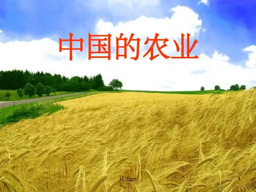 《中国农业课件k》PPT课件