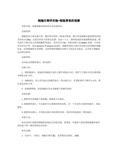 细胞生物学实验-细胞骨架的观察