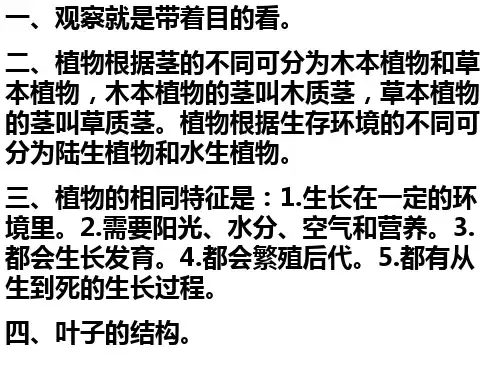 三年级上册科学复习重难点