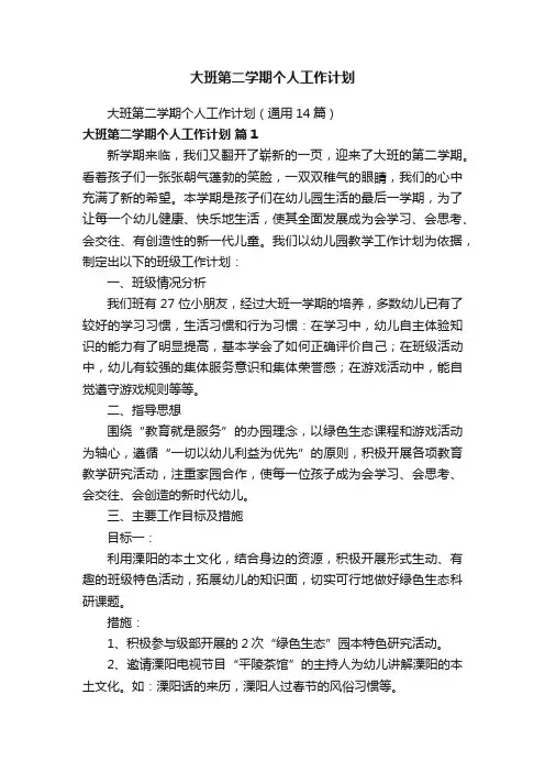 大班第二学期个人工作计划
