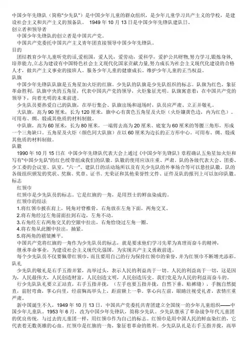 中国少年先锋队   中国少年先锋队