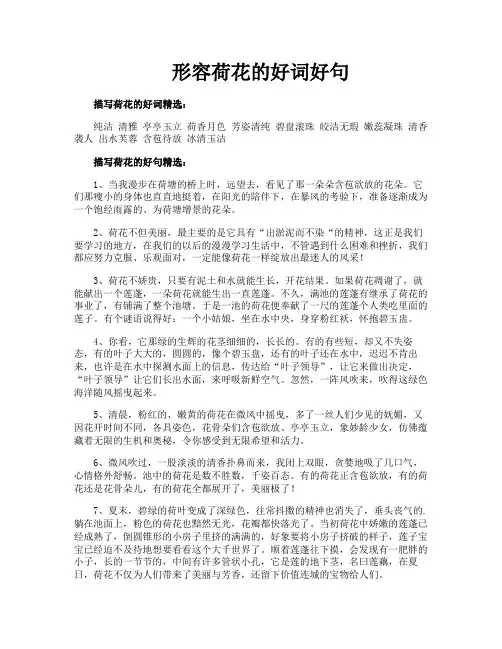 形容荷花的好词好句