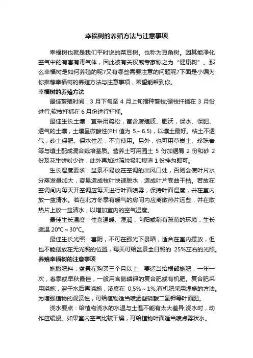 幸福树的养殖方法与注意事项