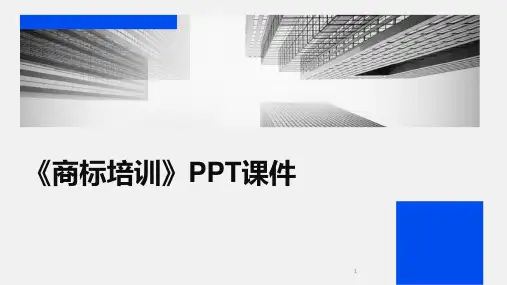 2024年度-《商标培训》PPT课件