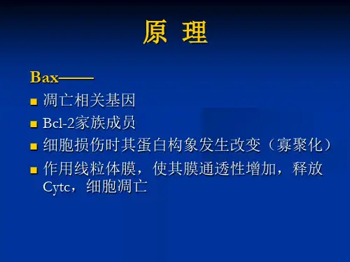 2018年凋亡相关基因-Bax在不同细胞中表达产物差异检测-文档资料