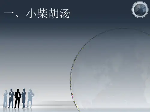 一、小柴胡汤