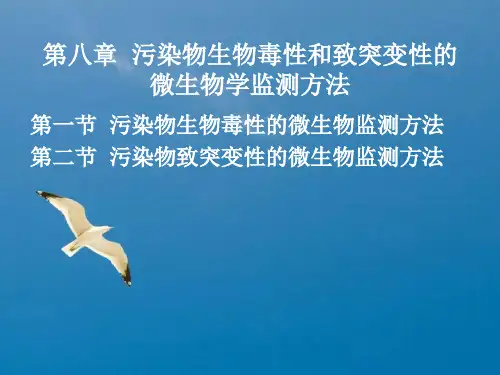 环境生物技术ppt课件
