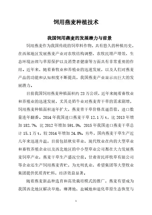 饲用燕麦种植技术-国家肉牛牦牛产业技术体系