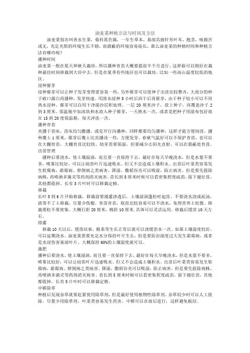 油麦菜种植方法与时间及方法