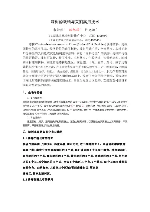 漆树2