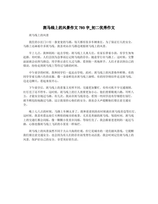 斑马线上的风景作文793字_初二优秀作文