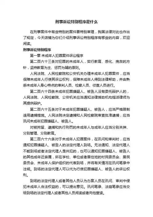 刑事诉讼特别程序是什么