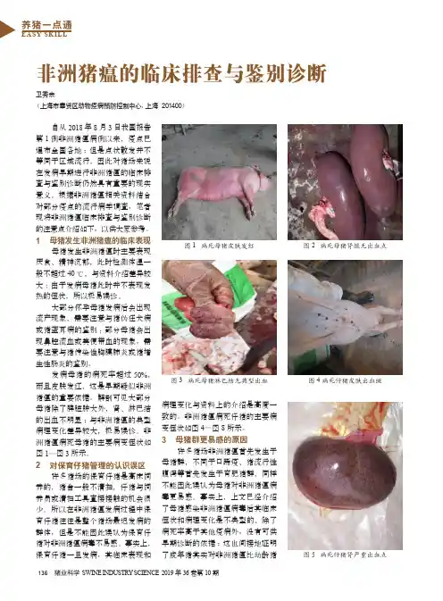 非洲猪瘟的临床排查与鉴别诊断