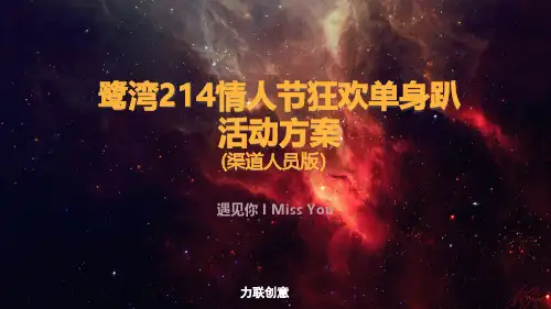 2017鹭湾情人节狂欢单身趴活动方案