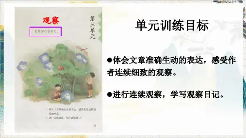 统编版四年级语文上册9古诗三首 课件(共51张PPT)12