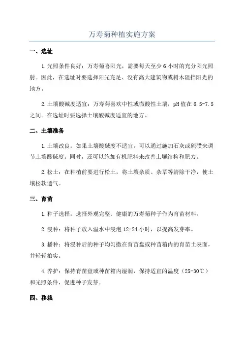 万寿菊种植实施方案