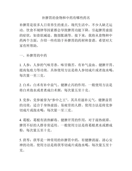 补脾胃的食物和中药有哪些药名