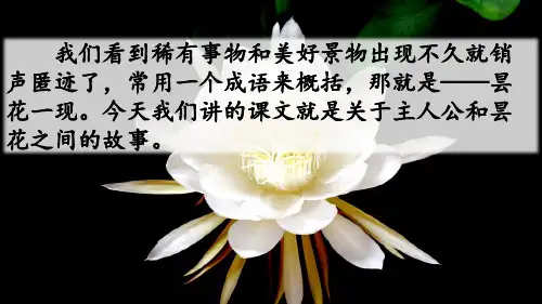 新苏教版三年级语文下册《文  27 昙花》研讨课课件_19