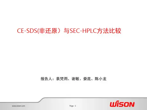 CE-SDS与SEC-HPLC比较ppt