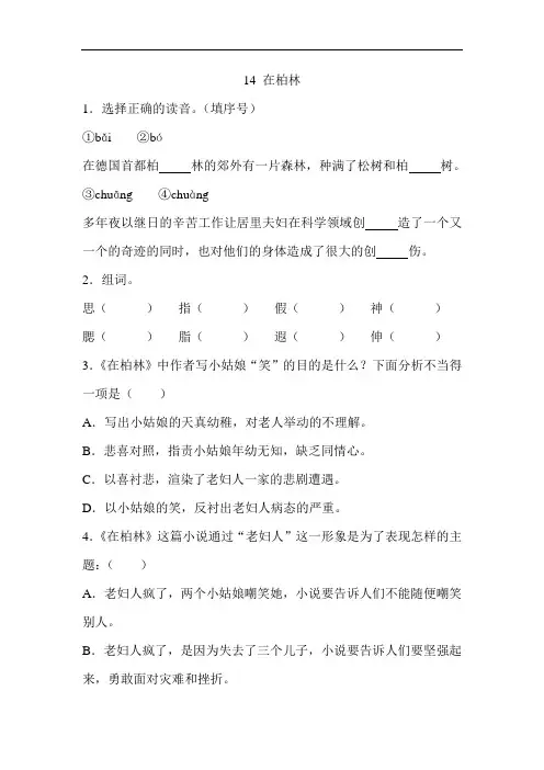 六年级语文上册 一课一练 14 在柏林(部编版,含答案)
