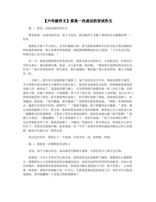 【六年级作文】那是一次成功的尝试作文