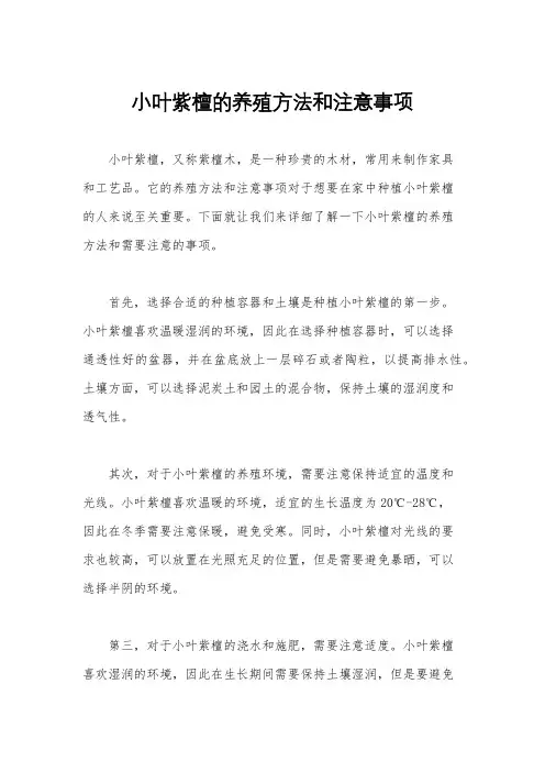 小叶紫檀的养殖方法和注意事项