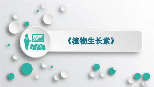 5.1 植物生长素说课课件高二上学期生物人教版(2019)选择性必修一