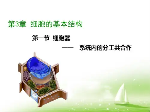 课堂第3章第二节细胞器ppt课件