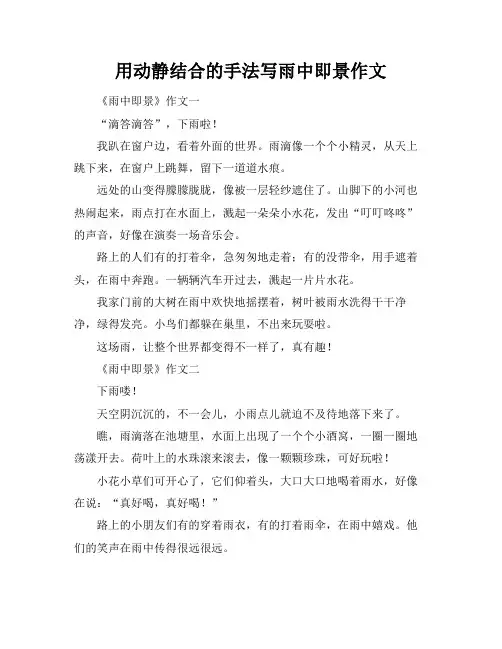 用动静结合的手法写雨中即景作文