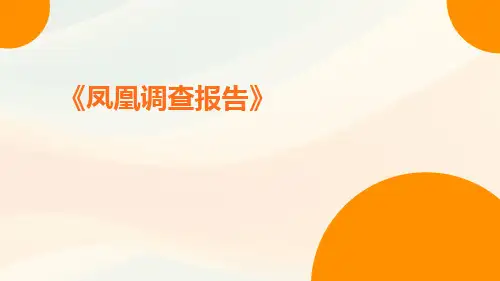 凤凰调查报告