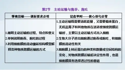 新教材高中生物第4章细胞的物质输入和输出第2节主动运输与胞吞胞吐pptx课件新人教版必修1