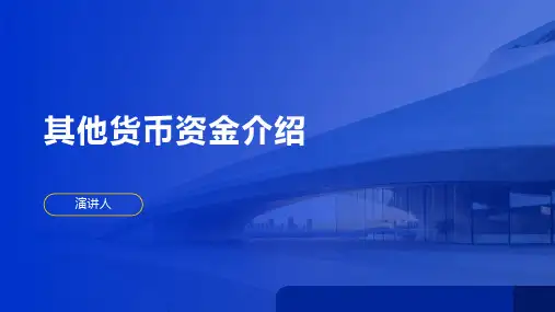 其他货币资金介绍