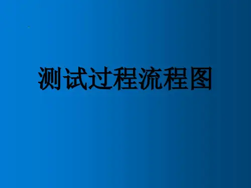 测试过程流程图