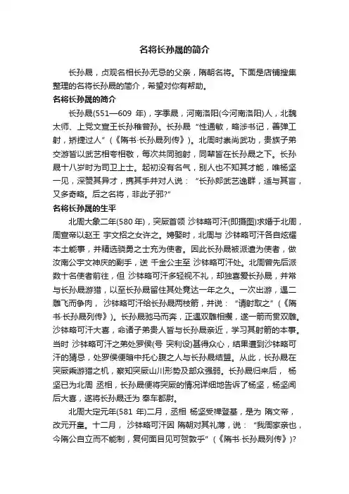 名将长孙晟的简介