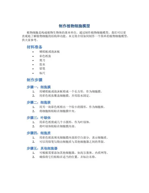 1制作植物细胞模型