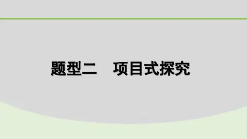 2024年河北省中考化学备考复习—— 项目式探究