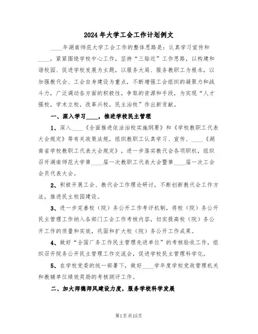2024年大学工会工作计划例文(五篇)
