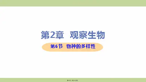新浙教版七年级上册初中科学 第6节 物种的多样性 教学课件