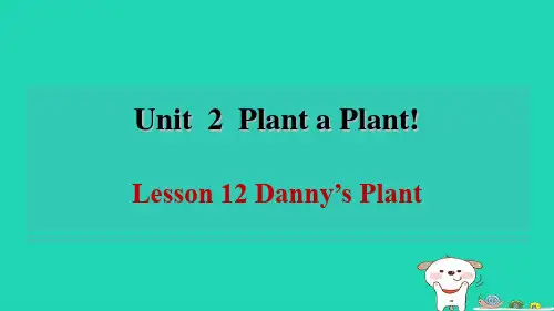 八下Unit2Lesson12Danny'sPlant新冀教
