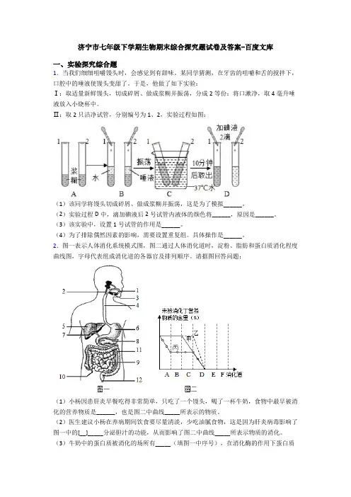 济宁市七年级下学期生物期末综合探究题试卷及答案-百度文库