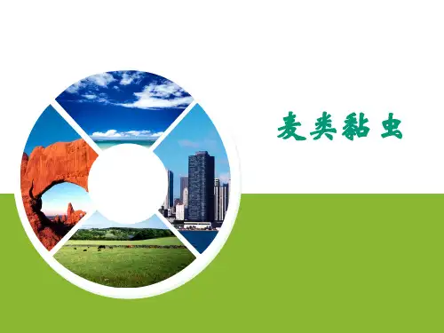 植物保护技术PPT-01