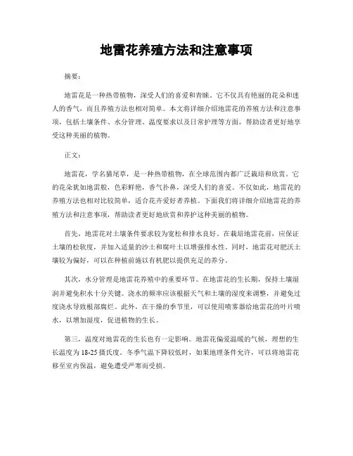 地雷花养殖方法和注意事项