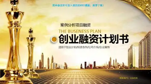 【优质文档】2018年度案例分析项目融资【框架完整ppt】