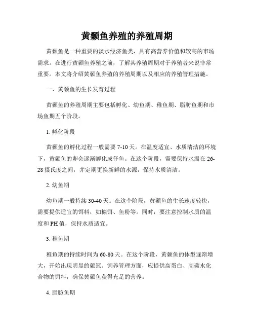 黄颡鱼养殖的养殖周期