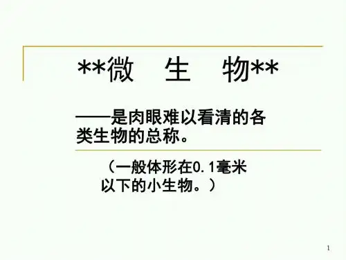 沪科版生物高中拓展型课程《微生物课件(共70张PPT)