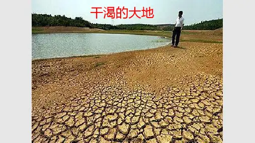 植物逆境生理PPT课件