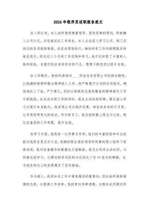 2024年程序员述职报告范文（三篇）