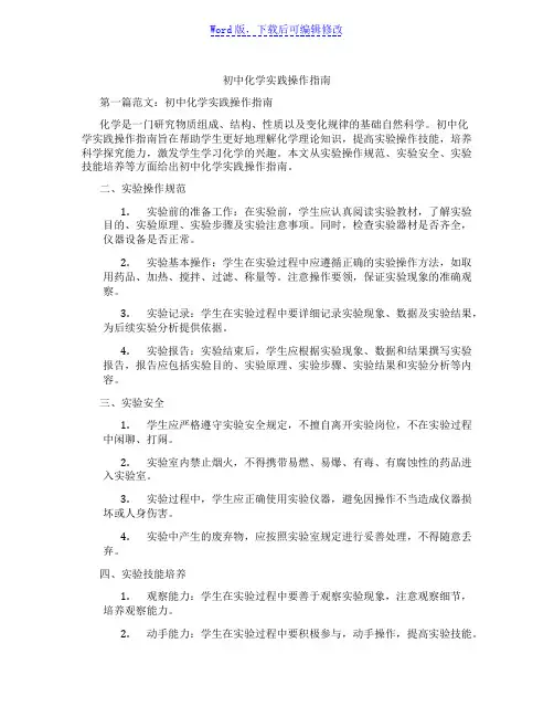 初中化学实践操作指南范文